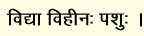 img1.gif (2830 bytes)