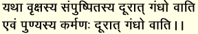 img6.1.gif (2859 bytes)