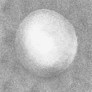 Chinese Astrology Calendar