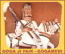 Goga Ji Fair