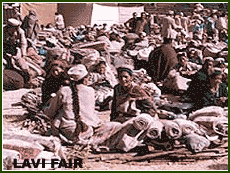Lavi Fair