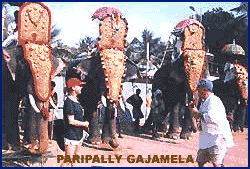 Paripally Galamela