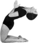 Variations of the camel 1